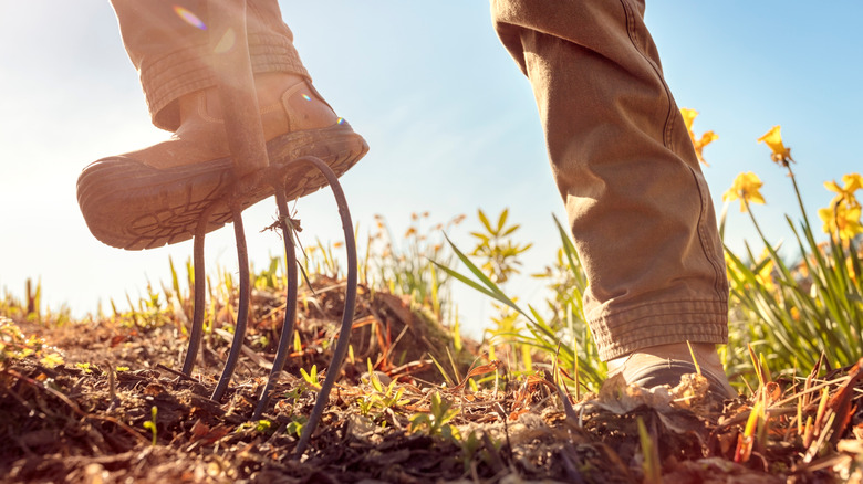 foot pushing fork into soil