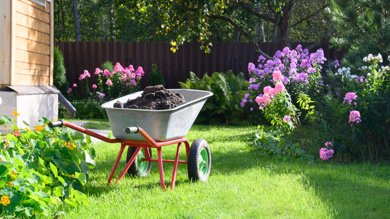 compost filled wheelbarrow on lawn