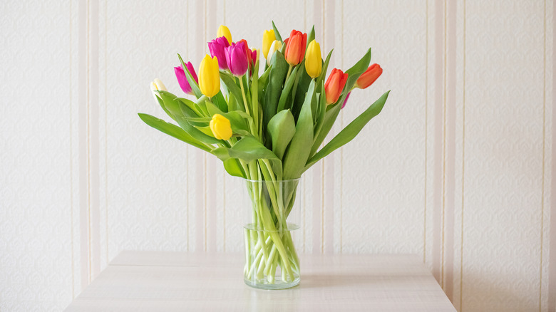 Tulips in a tall vase