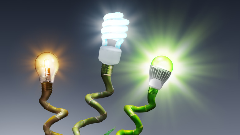 Incandescent, fluorescent and LED bulbs