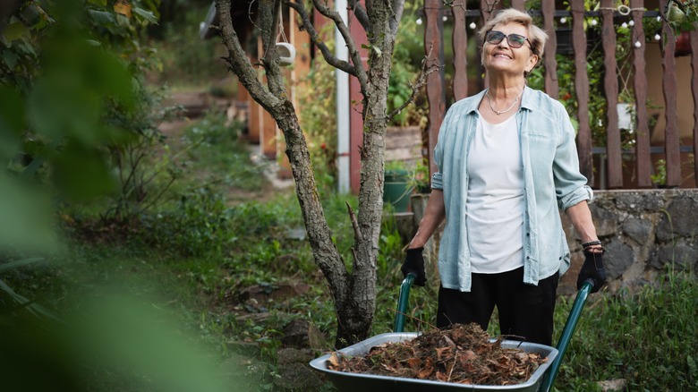 Elderly woman pushing leaf-filled wheelbarrow