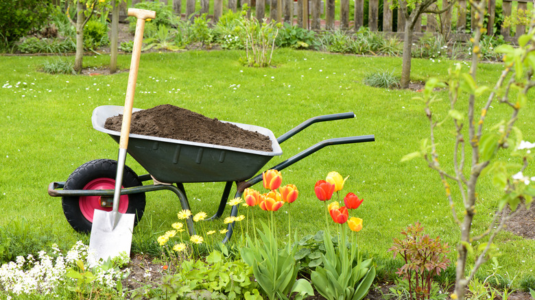 Soil-filled wheelbarrow next to garden