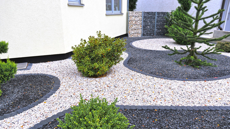 A garden has both white and black gravel in patterns