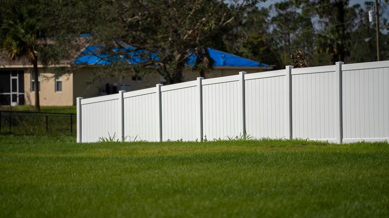 Vinyl backyard fence