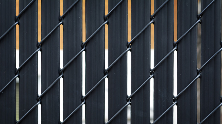 chain link fence with slats