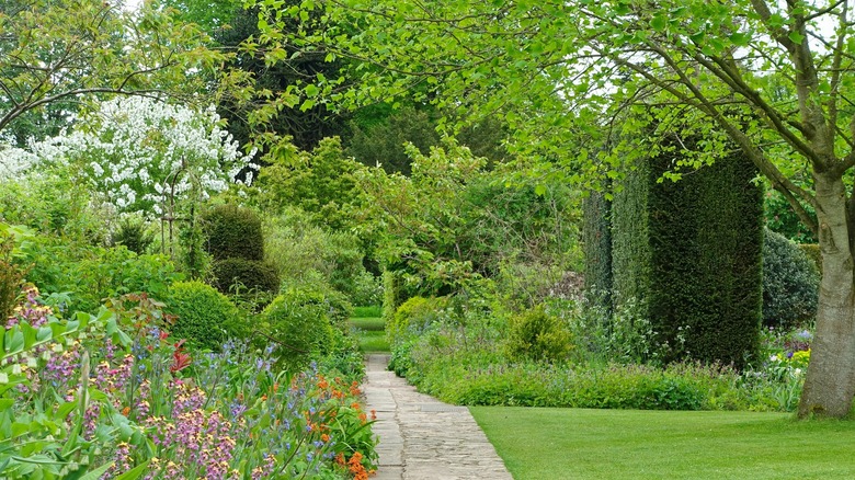 green leafy garden with flowers