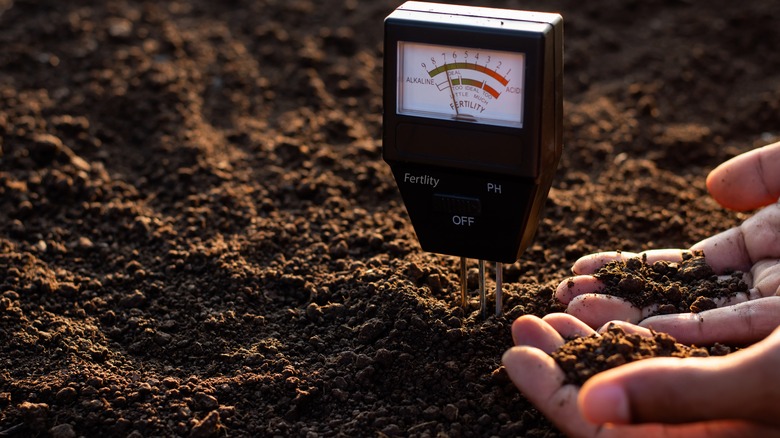 soil testing monitor with hands