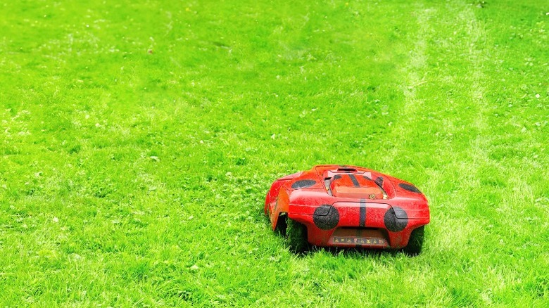 Red remote control mower cutting lines in grass