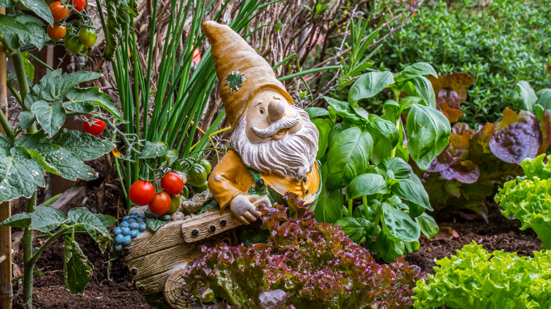 A gnome in a garden 