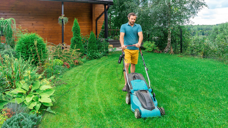man using a lawn mower