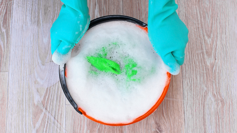 soapy water in container