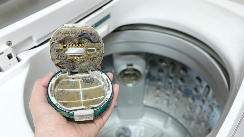 Where Is Your Washer Lint Trap 1660838338 