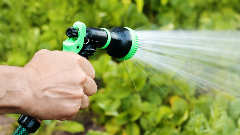 hand holding garden hose