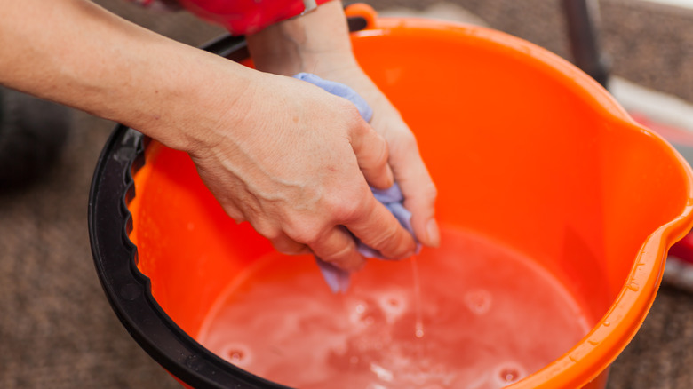 hands and scrub bucket