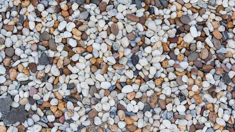 Pea gravel close up