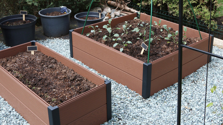 Garden beds in yard with pea gravel