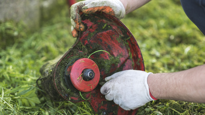 person holding weed wacker