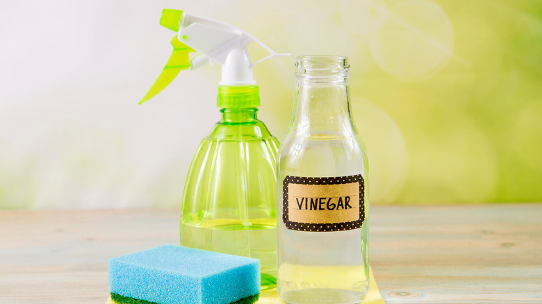 vinegar for cleaning