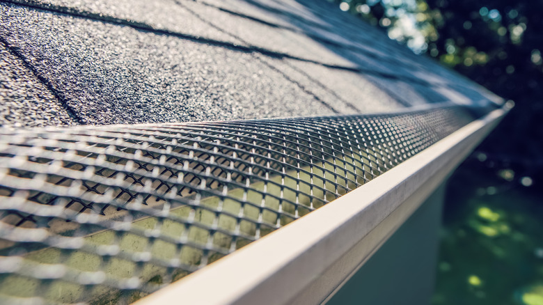 Gutter guards and screens