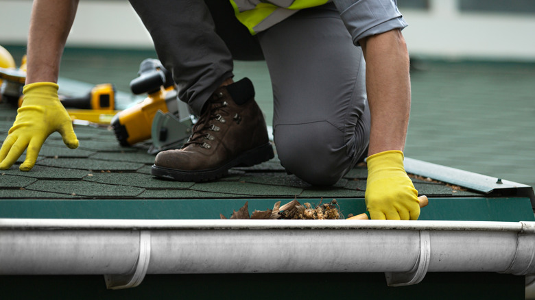 Professional gutter cleaning