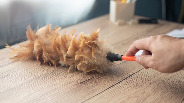 Close up of feather duster cleaning table