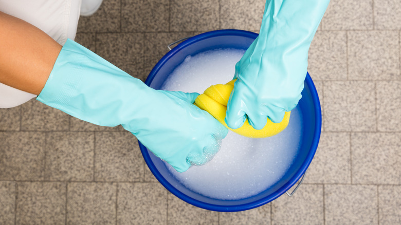 Hands wringing sponge over bucket 