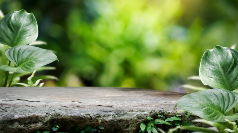 A natural stone table in a garden