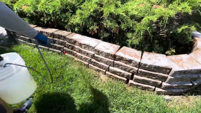 Person applying chemical with hose to dirty retaining walls