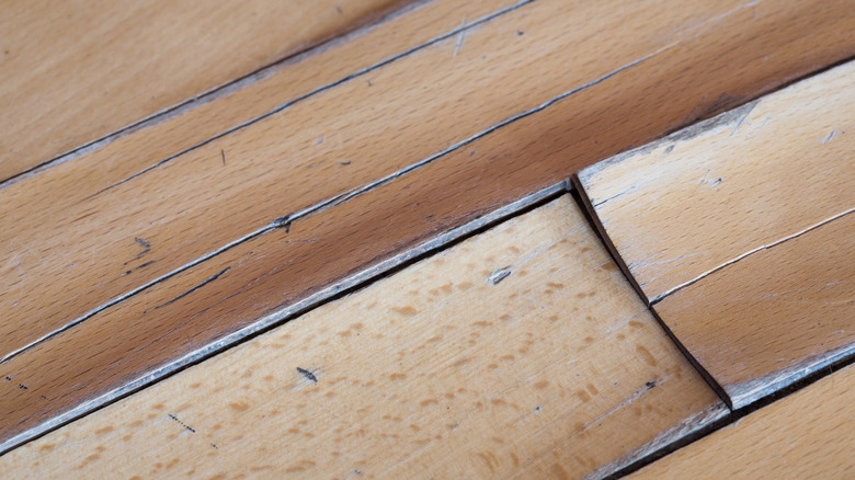 Unfinished wood floor is cupping and stained due to water damage