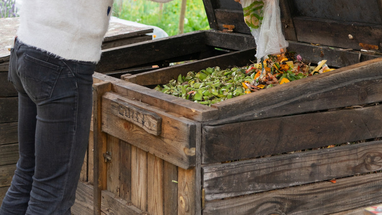 A woman adds food scraps to a compost bin in a community garden