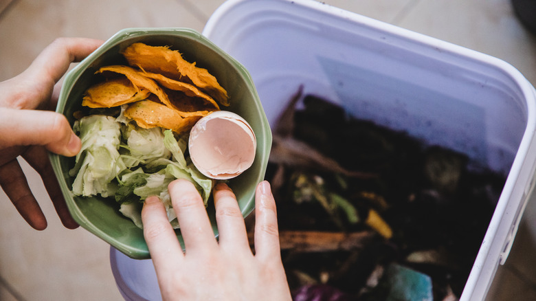 A person adds food scraps to a bin of partially composted material