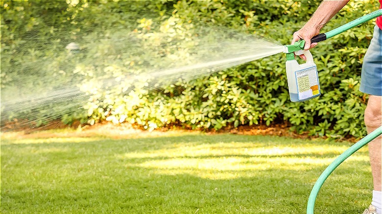 Person spraying herbicide