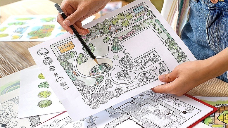 Person pointing to garden plan