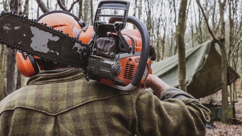 The back of a person holding a chainsaw looking at trees