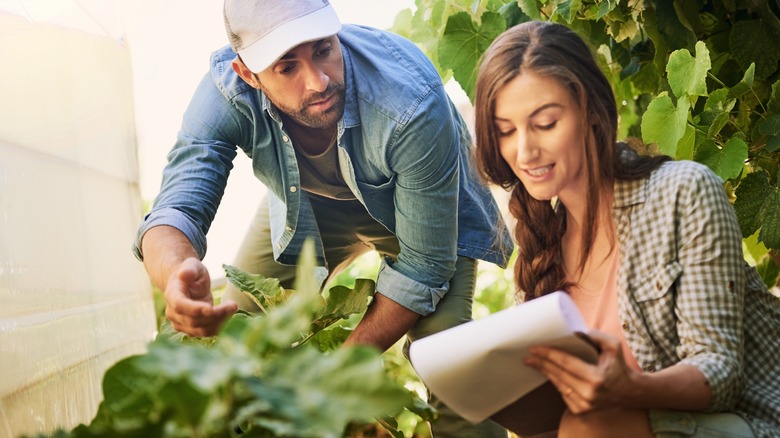 gardeners reviewing notes