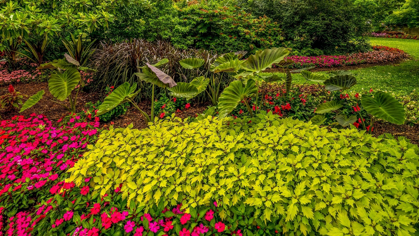 Climate-Resilient Gardening Techniques for Cities How To Create A Climate Resilient Garden According To An Expert