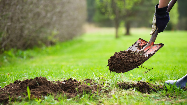 Person digging a hole