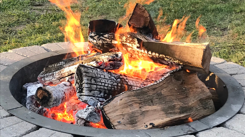 Firewood burning in fire pit