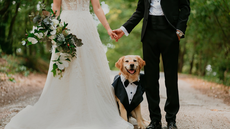 dog with couple getting married 