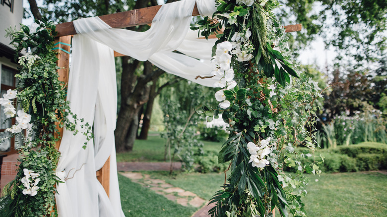 wedding backdrop with tree backyard