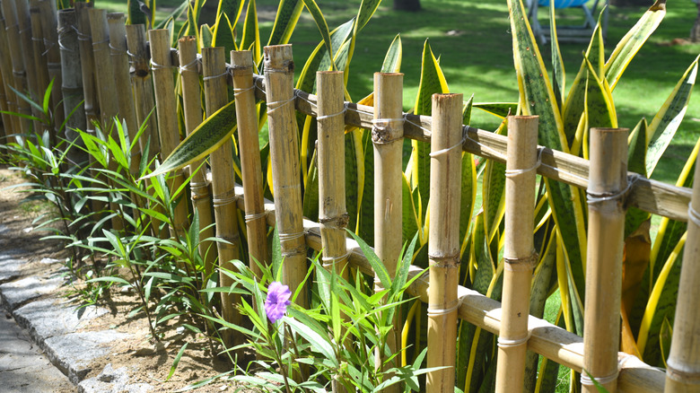 Short bamboo fence