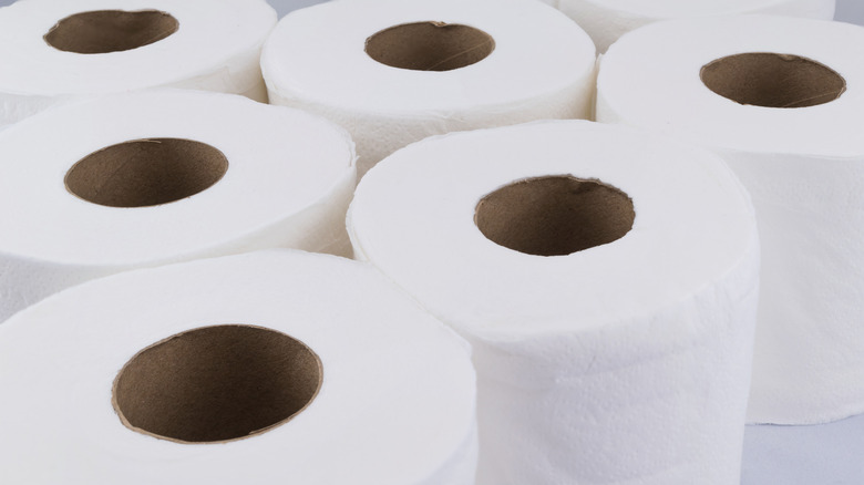 group of toilet paper rolls