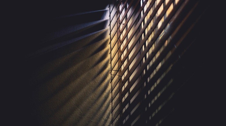 Sun peaks through darkening blinds