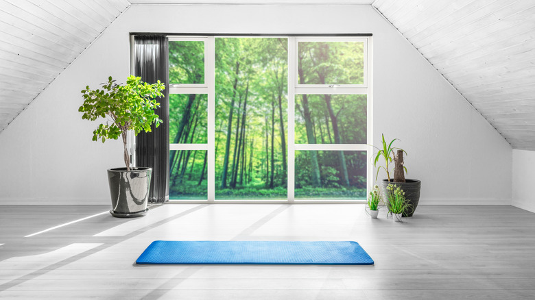 yoga studio with green plants