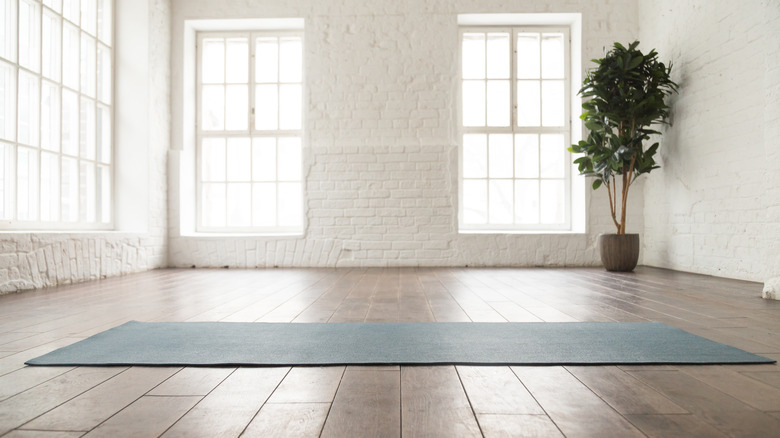 minimalist yoga studio with plant