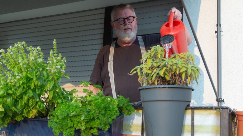 Man watering herbs on his patio