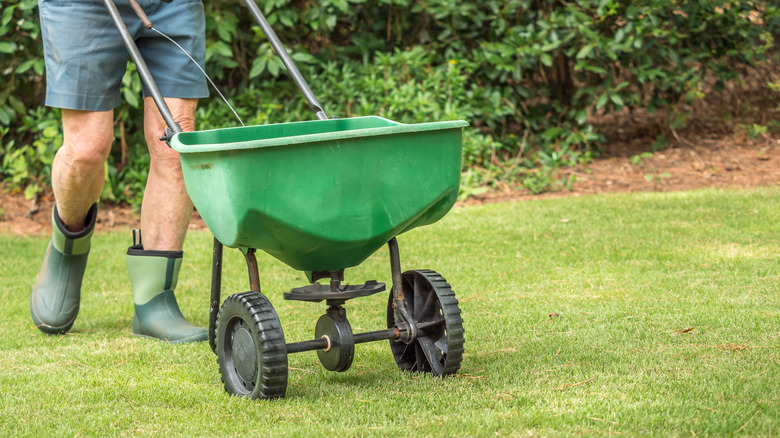 person walking behind grass spreader