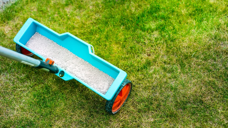 person spreading fertilizer on lawn