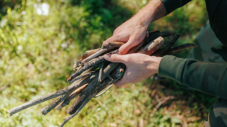 Hands holding a bundle of sticks and twigs