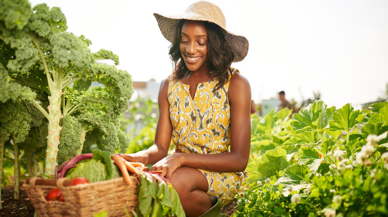 Woman harvesting vegetables